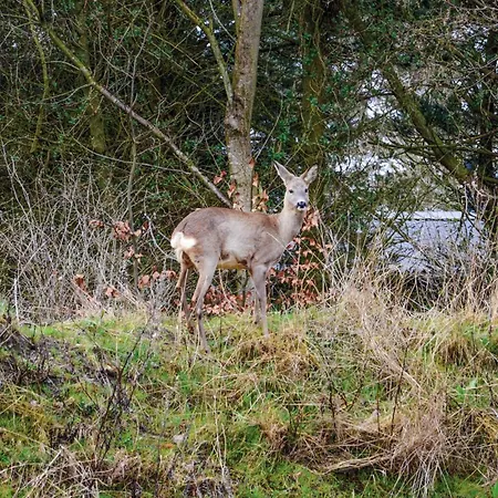Сasa de vacaciones Ringkobing With Fireplace Ii Ringkøbing