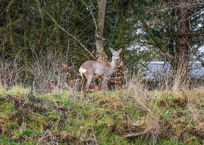 Holiday home With Fireplace Ii Ringkobing